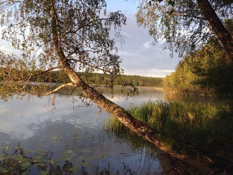 Загородные дома Asvejos slenis Sužionys-7